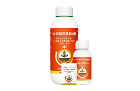 14羥基蕓苔素甾醇